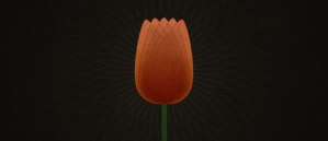 TULIP-and-Reformed-Theology_620