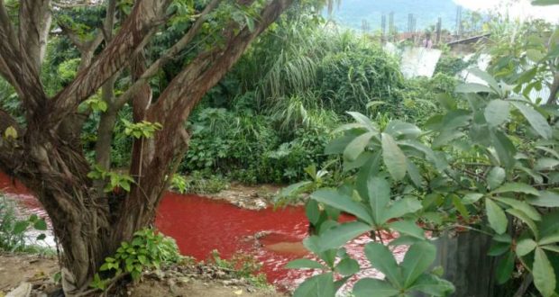 blood-water-620x330