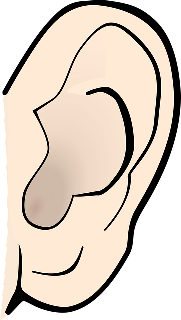 alphabet-word-images-1300502_640